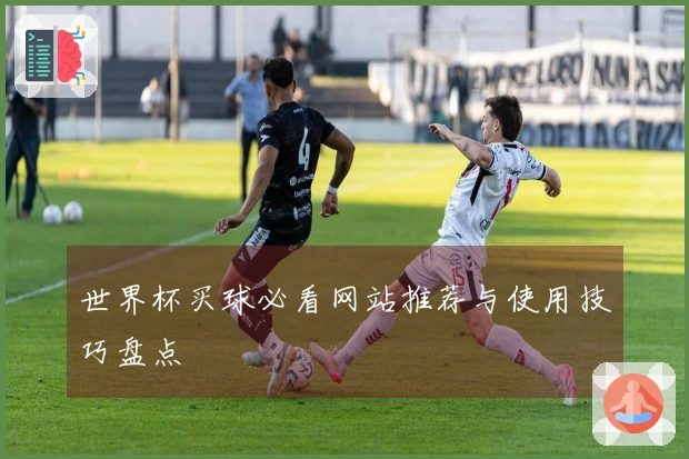 世界杯买球必看网站推荐与使用技巧盘点