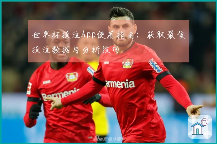 世界杯投注App使用指南：获取最佳投注数据与分析技巧