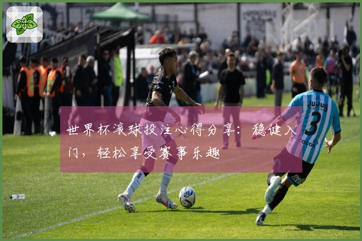 世界杯滚球投注心得分享：稳健入门，轻松享受赛事乐趣