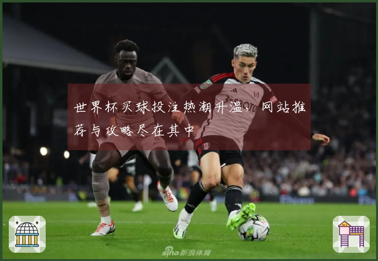 世界杯买球投注热潮升温，网站推荐与攻略尽在其中