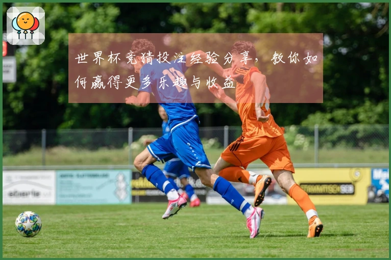 世界杯竞猜投注经验分享，教你如何赢得更多乐趣与收益
