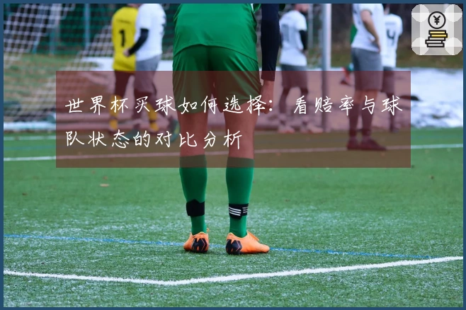 世界杯买球如何选择：看赔率与球队状态的对比分析