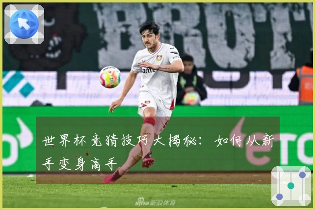 世界杯竞猜技巧大揭秘：如何从新手变身高手