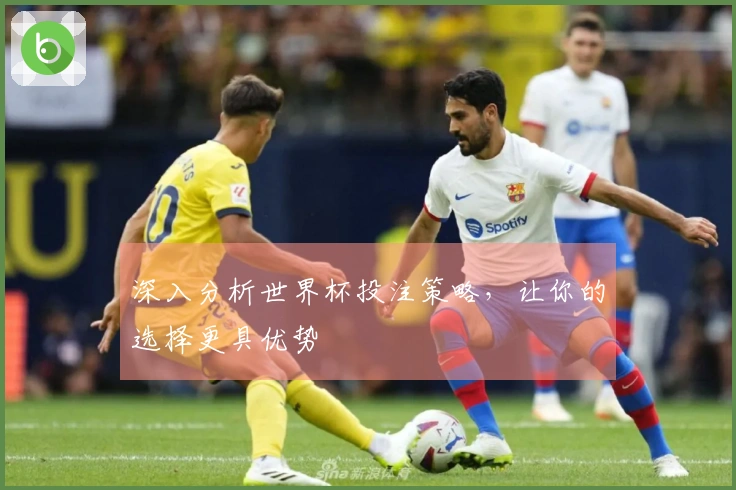 深入分析世界杯投注策略，让你的选择更具优势